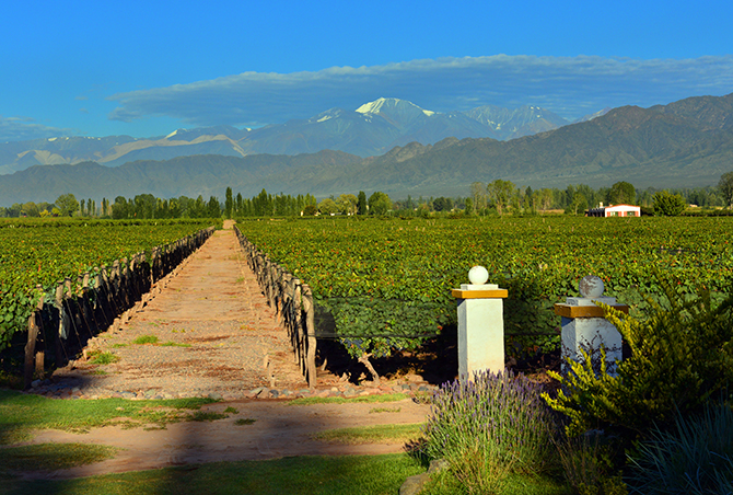 The Mendoza Wine Regions