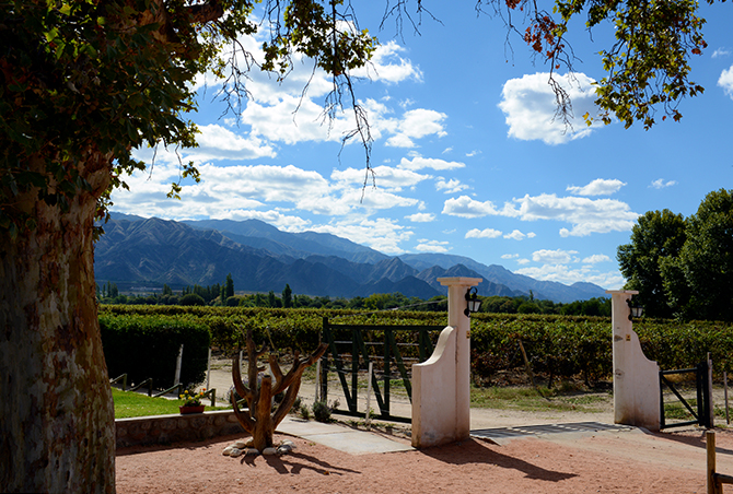 The Salta Wine Regions