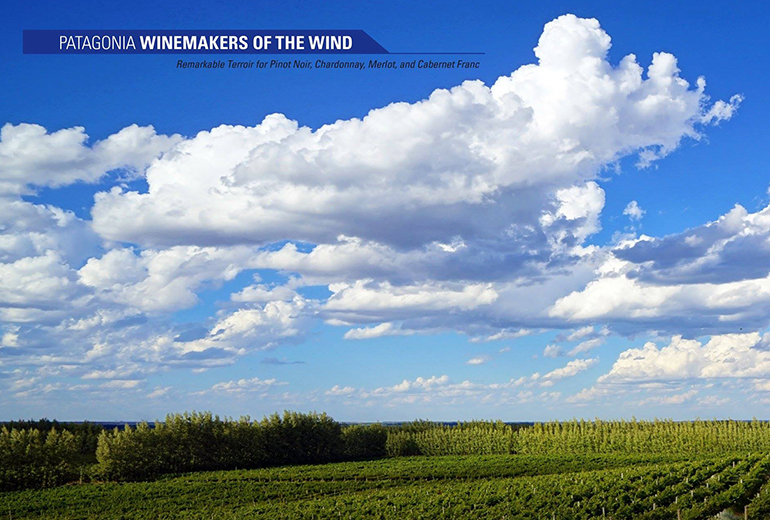 Bodega Secreto Patagonico in Neuquen