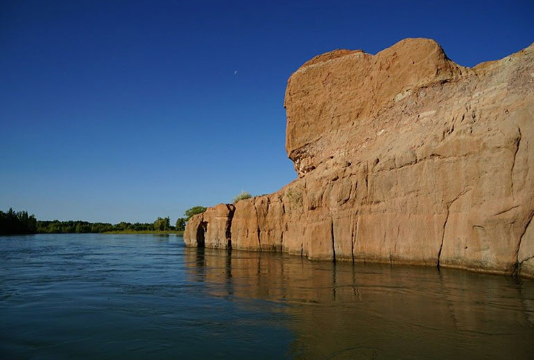 Patagonia Wine Region of Neuquen