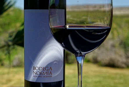 vineyards-of-malbec-3