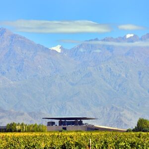 Architectural Winery Design