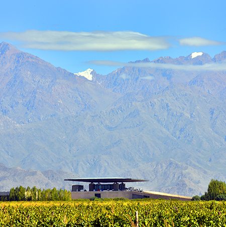 Architectural Winery Design