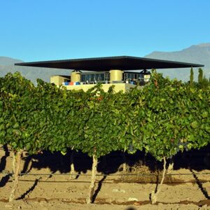 Aircraft Wing Design Over Winery