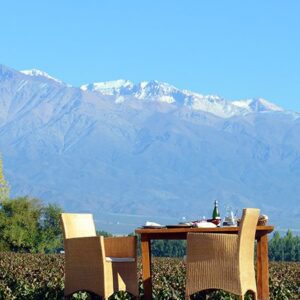 Dining In The Vineyards