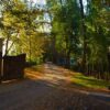 Tranquil Driveway
