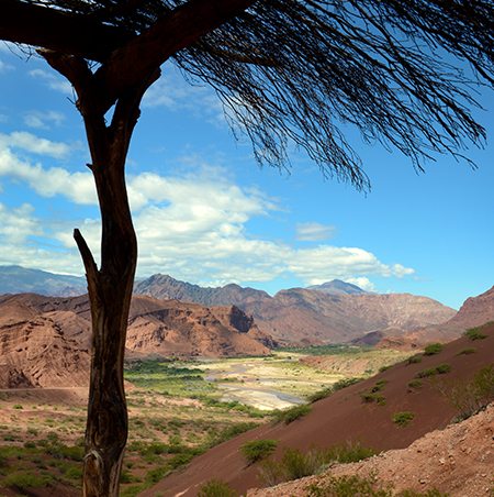 Quebrada de Las Conchas