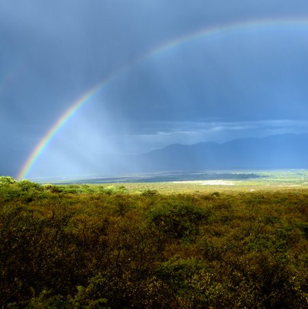Double Rainbow Cafayate
