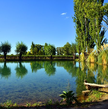 Beautiful Farmers Reservoir