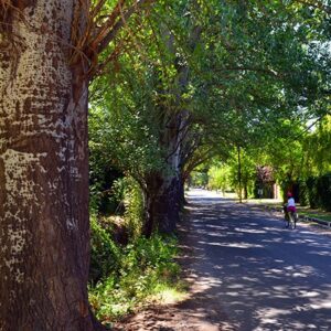 Afternoon Bike Ride in Chacras de Coria