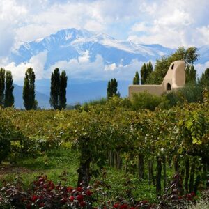 Lodge In The Vineyard