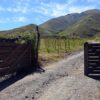 Gate ToHighest Vineyard In The World