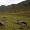 Mountain Campsite