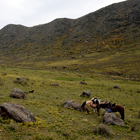 Mountain Campsite