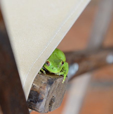 Hiding And Peeking