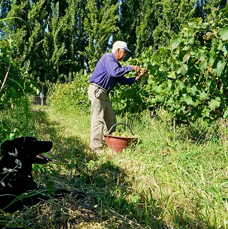 Harvesting With Best Friend
