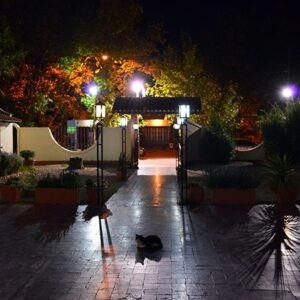 Guarding The Restaurant