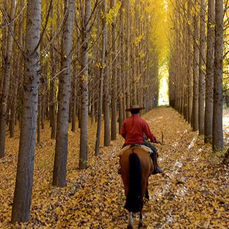 Autumn Riding