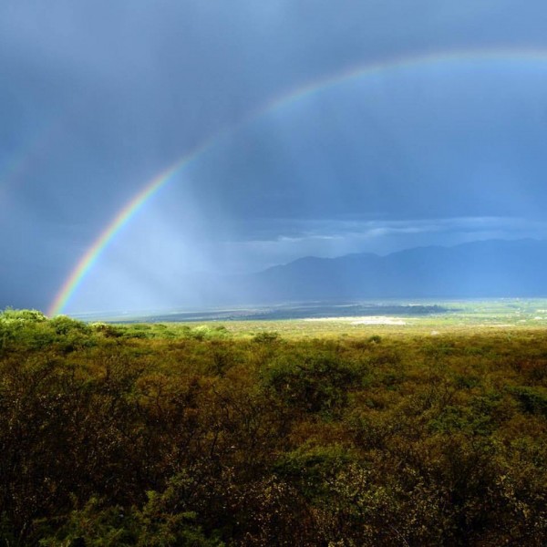 Entering Valle de Calchaqui
