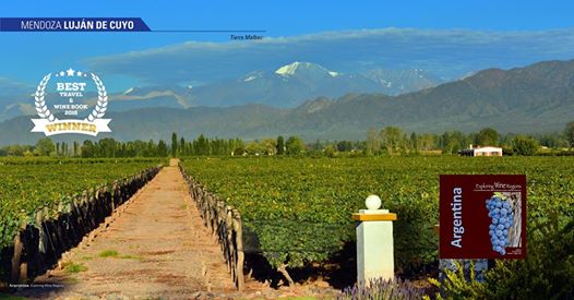 Author Event – Book Signing • Wine Tasting • Storytelling