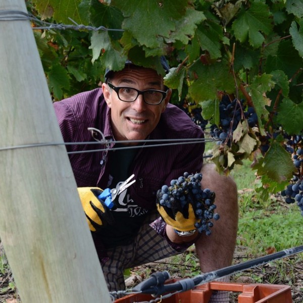 PARTICIPATING in harvest is…