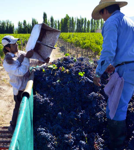 Luján de Cuyo is where it all began in Argentina