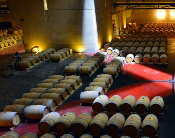 O. Fournier’s visionary