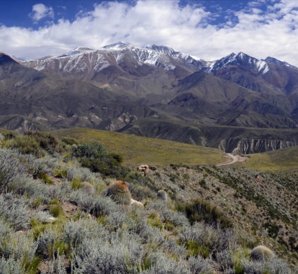 Valle de Uco nestled into the foothills of the Andes Mountain