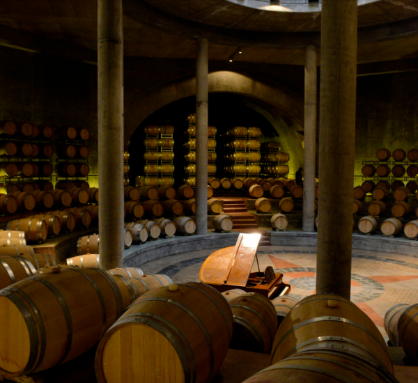 Bodegas Salentein winery was designed