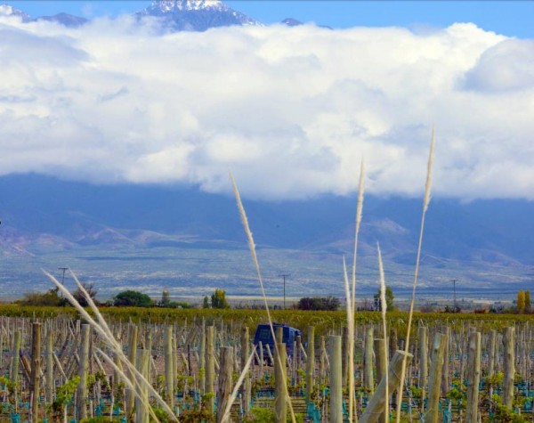 Giménez and Riili families
