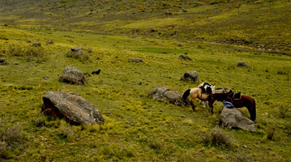 Manzano Histórico has a particular microclimate