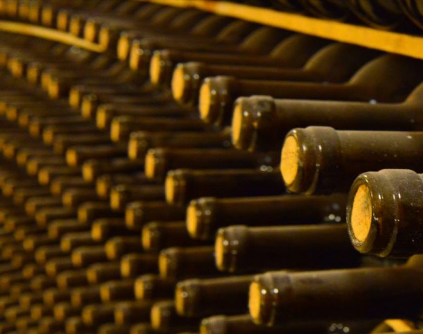 Bonarda is another up-and-coming grape in Argentina