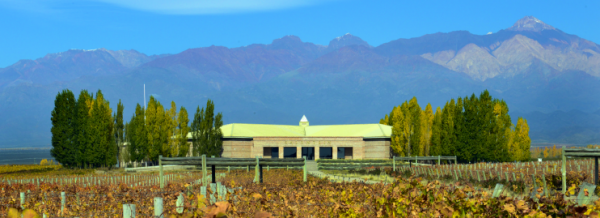 Imagine a place where