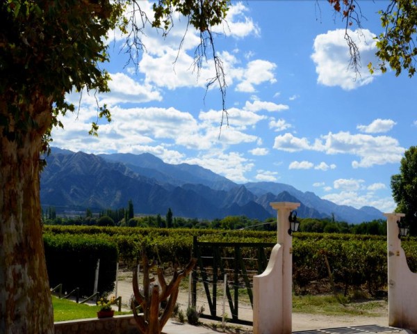 Vasija Secreta Winery