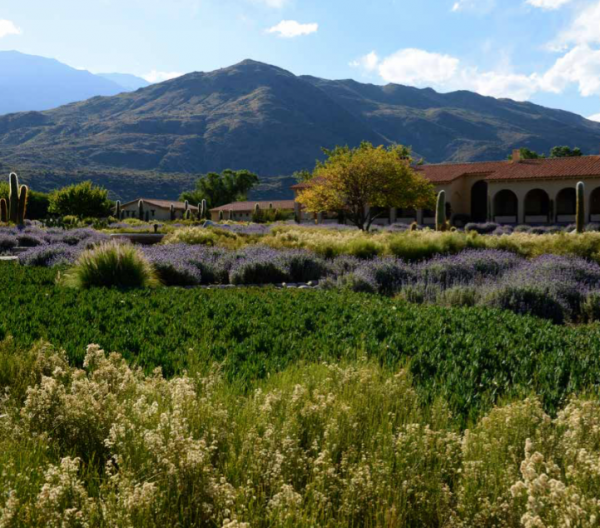 Estancia Colomé is a private hacienda