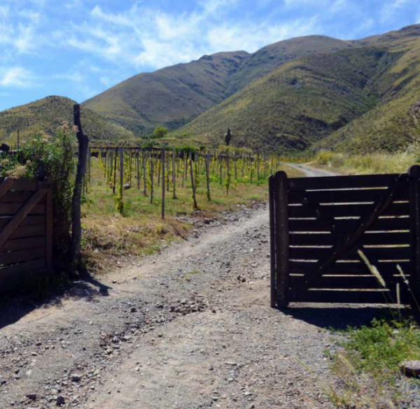 Yet another experiment from Donald Hess