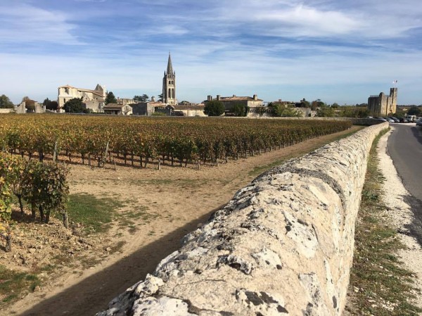 Saint Emilion Wine