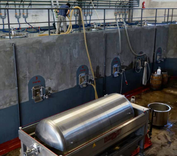 Now for a small winery in the grand scheme of Neuquén…