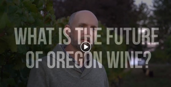 The Magic of Pinto Noir in the Willamette Valley, has only just begun…