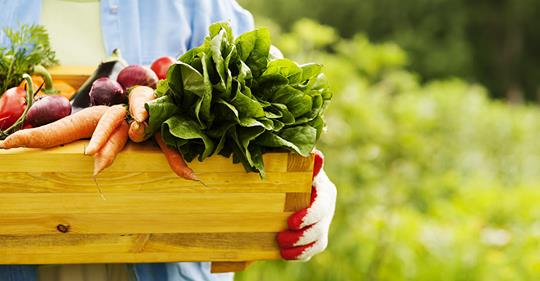 The ultimate grocery list for your liver power regimen