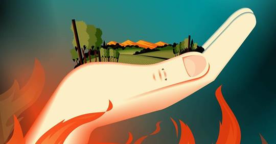 We’re ready to help!