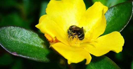 There has been a new discovery!