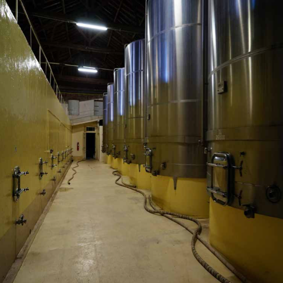 When visiting Río Negro