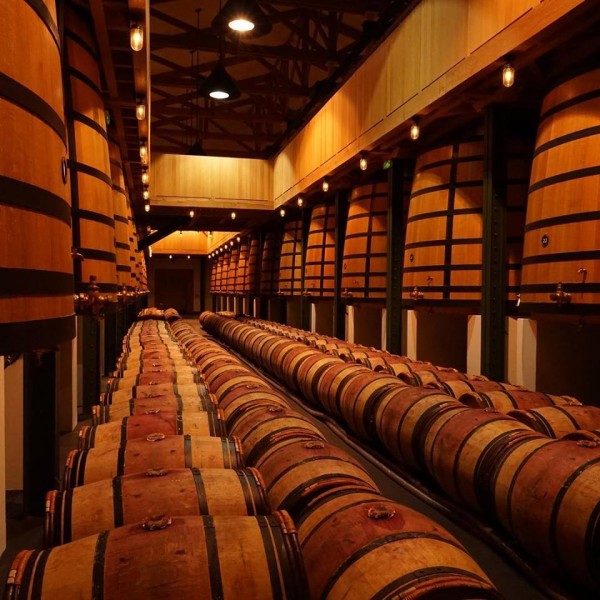 Seeing barrels and barrels of wine makes me very excited!