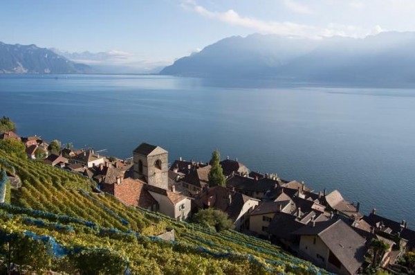 Have you tasted Swiss wine?