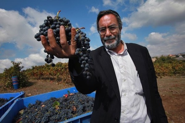 At its core, kosher winemaking is identical to traditional winemaking