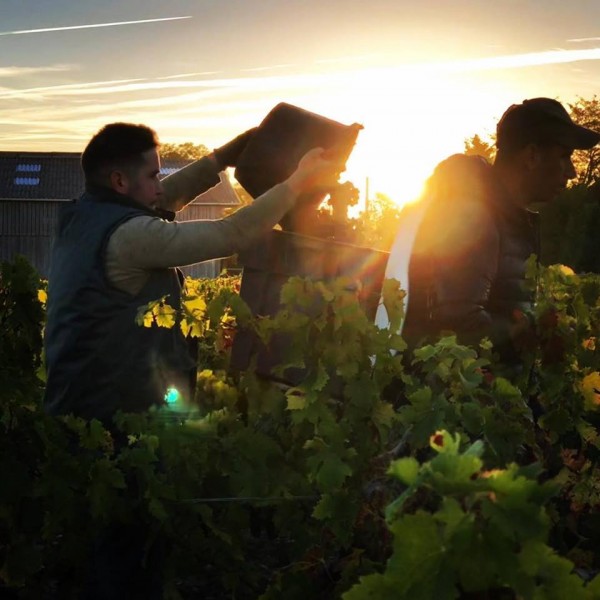 Sunrise Over Harvest.