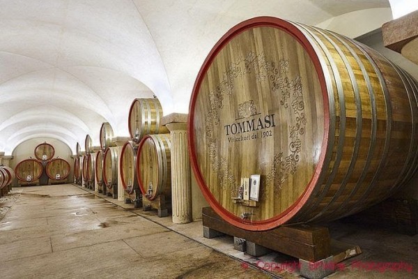 Tommasi is a famous family estate in the Valpolicella