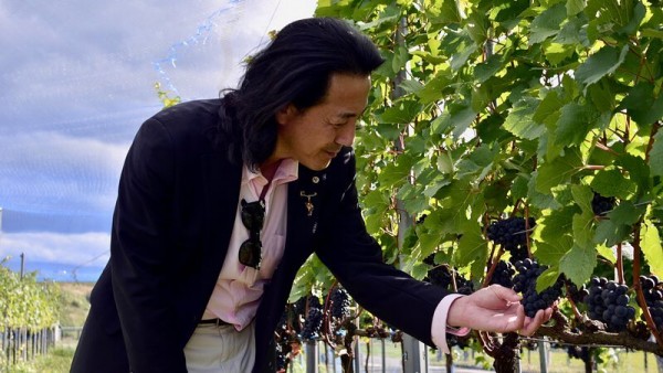 The Japanese wine industry is maturing…
