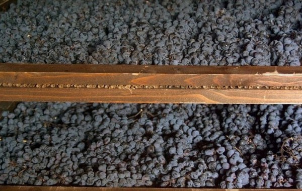 Amarone – or more formally Amarone della Valpolicella